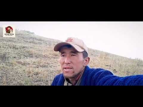 Видео: Чӯпонбола Буроқ тулпорини Ушлмоқчи 