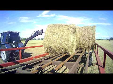Видео: перевозка рулонов сена