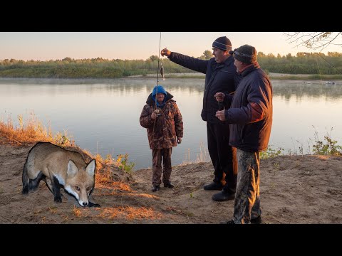 Видео: Рыбалка на Ахтубе. Лиса Мороз.Октябрь.