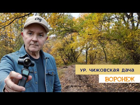 Видео: Урочище Чижовская дача и Чижовка, Воронеж 08 10 25г