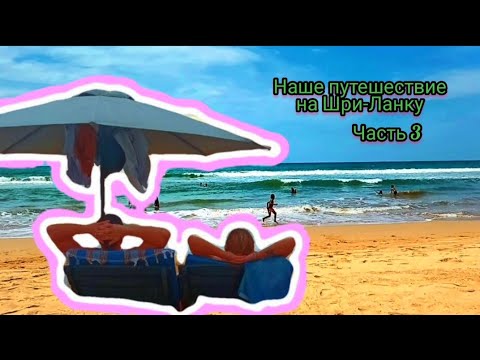 Видео: Отличный пляж на Бентоте, где рекомендуем поесть👍Шри-Ланка 2023г.