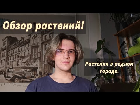 Видео: ОБЗОР РАСТЕНИЙ / 2я часть коллекции