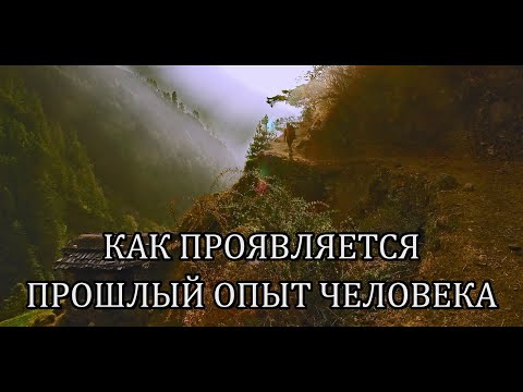 Видео: КАК ПРОЯВЛЯЕТСЯ ПРОШЛЫЙ ОПЫТ ЧЕЛОВЕКА