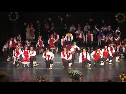 Видео: "Песен за Добрич",текст-Ал.Александров,музика П.Гочев, Ансамбъл "Добротица"-гр.Добрич