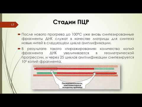 Видео: ДНК-технологии в медицине