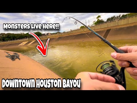 Видео: Рыбалка в печально известном хьюстонском заливе! (Мужчина, Карен) | Безумный «забег кефали» в цен...