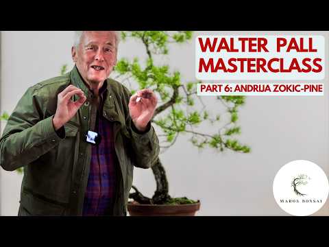 Видео: Андрия Зокич под руководством Уолтера: Ямадори Пайн становится искусством