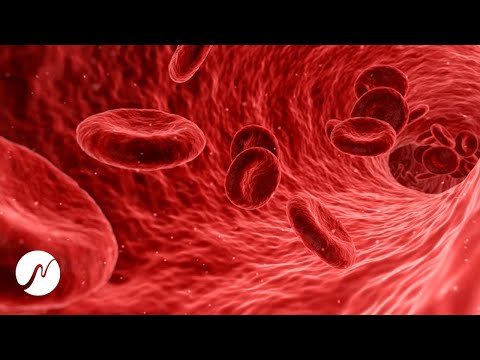 Видео: Стимулирует нормализованное кровообращение - 7 Гц - частота заживления