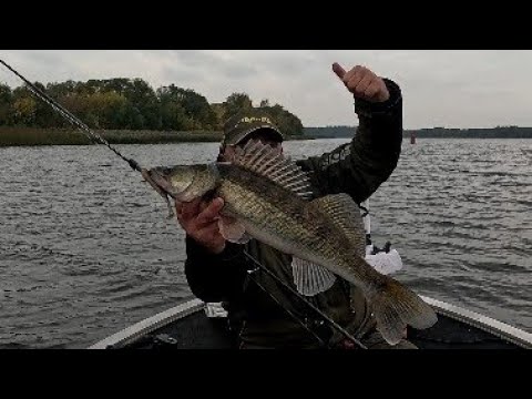 Видео: Ловля судака на медленную проводку