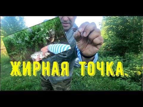 Видео: На речушке Хана-Яха.