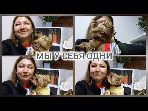 Видео: У МЕНЯ ТОГДА НЕ БЫЛО ВЫБОРА/Я ЗАЩИЩАЛА ТОЛЬКО ДОЧЬ/БОЛТАЛКА #влог#жизнь#vlog#lifestyle 