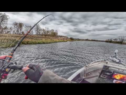 Видео: Рыбалка на водохранилище осенью. Ловля с паноптиксом щук и судаков. Нашел рыбу с помощью эхолота.
