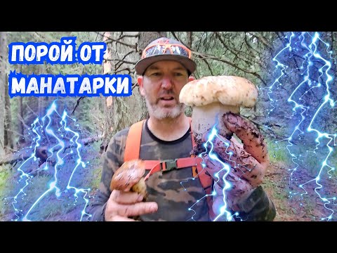 Видео: #Порой от #манатарки 