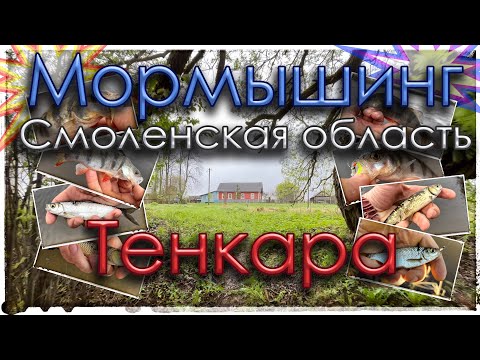 Видео: Мормышинг. Смоленская область. Sub Zero/Tele Ten 150/Тенкара.