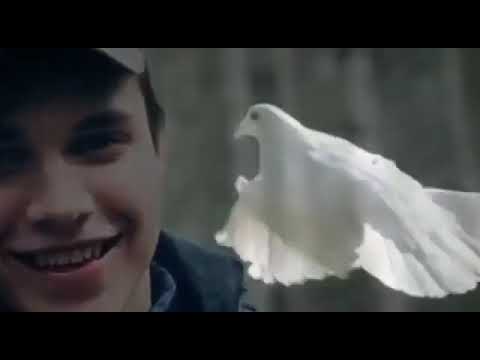 Видео: Мы помним о тебе, Влад !❤️