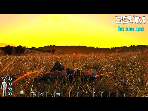 Видео: SCUM Несу колесо домой [2К]✅