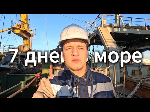 Видео: РАБОТА В МОРЕ - Матросом на Рыболовном Судне (первые 7 дней)