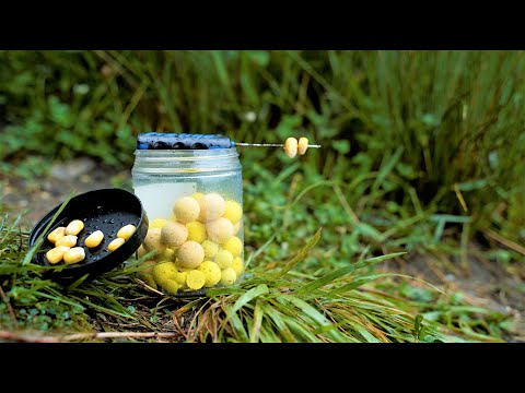 Видео: Карпфишинг в погоне за монстром : ))) попытка номер 2