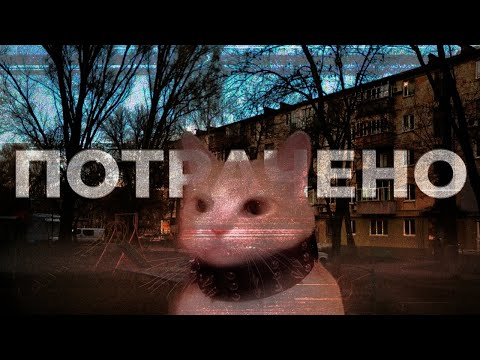 Видео: Стоит ли ТЕБЕ бросать учебу? [я бросил учебу]