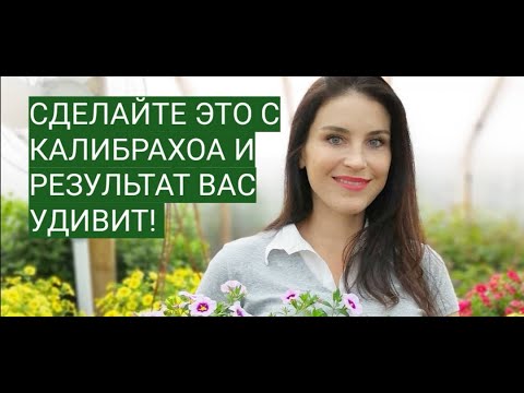 Видео: Черенкование калибрахоа