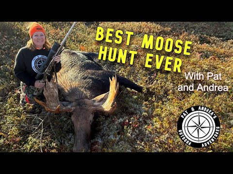 Видео: Охота на лося 2025