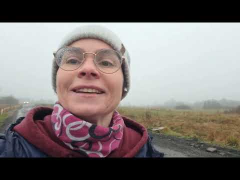 Видео: Как я потерялась в полях Карелии. Романтика автопутешествий. Коровы, которые гуляют сами по себе.