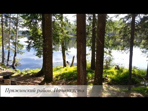 Видео: Карелия. Пряжинский район.