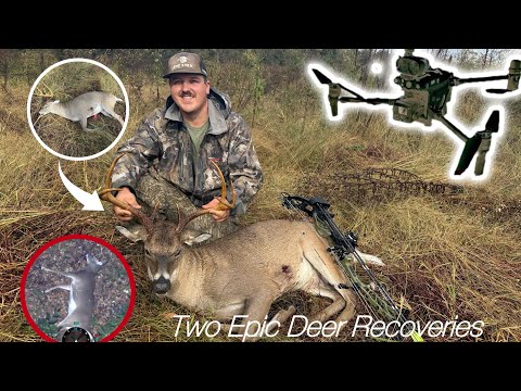 Видео: Два оленя, добытых моим тепловизором