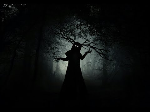 Видео: Stay Out / Сталкер онлайн. Черный лес  д. Красное открываем кладовщика.