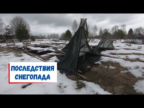 Видео: Как прошла зима в хозяйстве