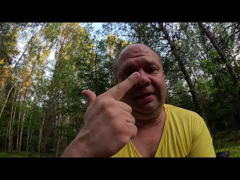 Видео: Грибная настойка 