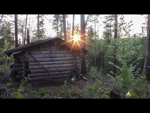 Видео: Ремонт крыши избушки. Медведь вылил весь бензин. Проверка избушек.