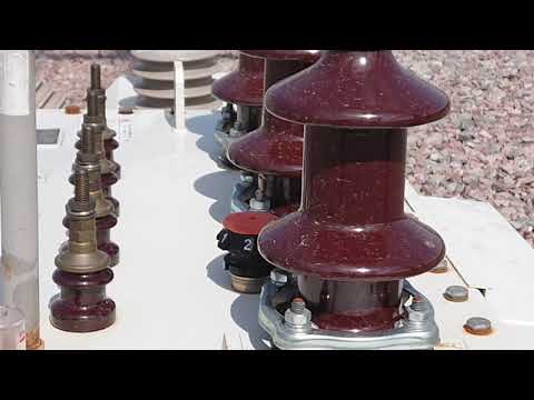 Видео: кто такая анцапфа movie