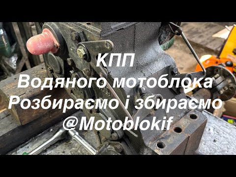 Видео: КПП водяного мотоблока.Розбираємо і збираємо.050 433 15 46 @Motoblokif