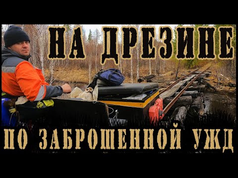 Видео: НА ДРЕЗИНЕ ПО ЗАБЫТОЙ УЗКОКОЛЕЙКЕ В СИБИРСКОЙ ТАЙГЕ / ПОЛОМКА В ЛЕСУ!