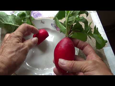 Видео: Срочно посейте не стрелкующийся редис! Это......