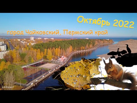 Видео: Осенний город Чайковский, Пермский край. Аэросъемка. Октябрь 2022