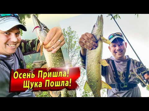 Видео: Щука в сентябре | Микроджиг Jara baits Nano series