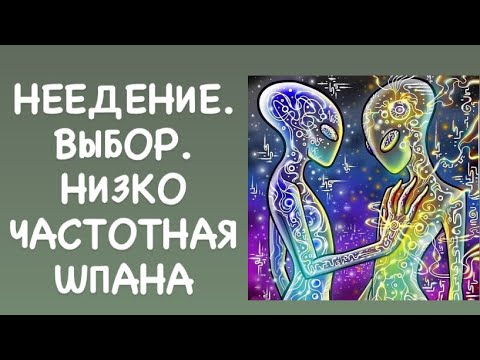 Видео: НЕЕДЕНИЕ. ВЫБОР.НИЗКОЧАСТОТНАЯ ШПАНА