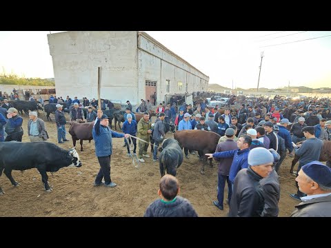 Видео: ХОРАЗМ ХАЗАРАСП МОЛ БОЗОРИ НАРХЛАРИ 6 ОКТЯБРЯ 2024Г