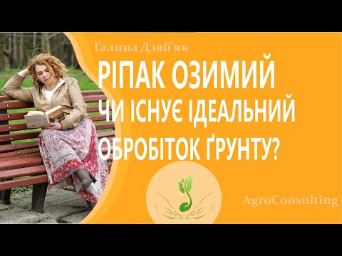 Видео: Ріпак озимий. Чи існує ідеальний обробіток ґрунту? #ГалинаДзябяк #ГалинаДзяб'як