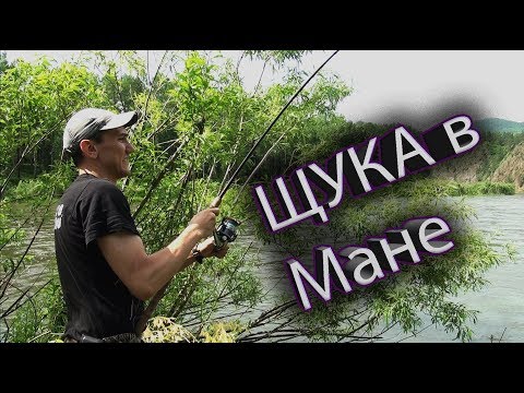Видео: Рыбалка на щуку спиннингом на р. Мана Красноярский край. Змеи ящерицы