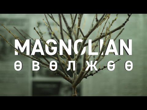 Видео: Magnolian - Өвөлжөө (Official Video)