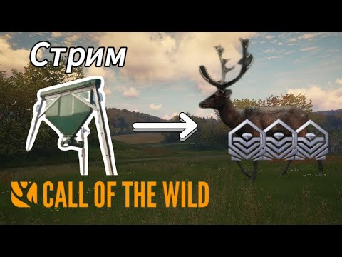 Видео: Фарм бриллиантов. Проверяем теорию в theHunter: Call of the Wild