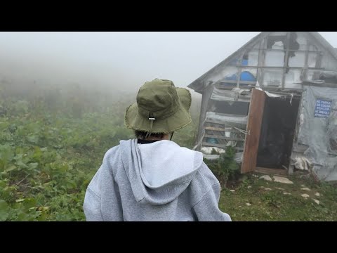Видео: АСМР В БАЛАГАНЕ на петличный микрофон fifine m9