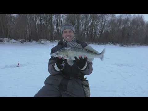 Видео: Та самая рыбалка