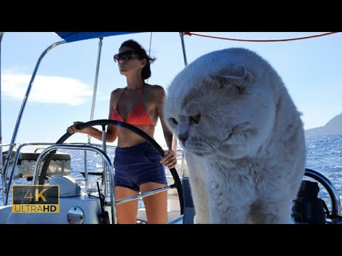 Видео: ЭКСТРЕННО ИДЁМ НА БАЗУ: лихорадочный ремонт. КИРИЛЛ ЗАБОЛЕЛ ДЕНГЕ (danger) 4K.