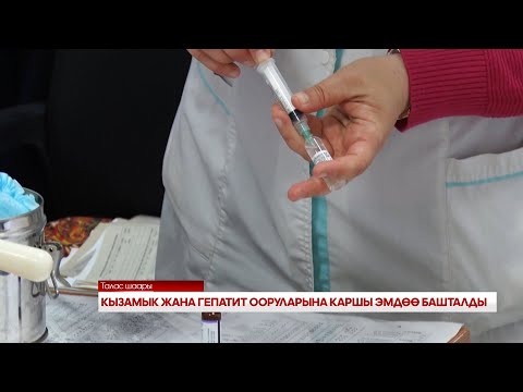Видео: КЫЗАМЫК ЖАНА ГЕПАТИТ ООРУЛАРЫНА КАРШЫ ЭМДӨӨ БАШТАЛДЫ 22222222mp4