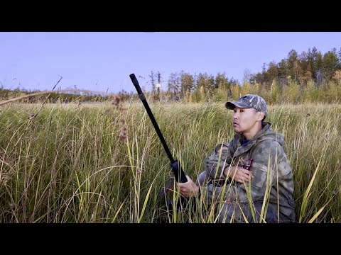 Видео: OPENING DAY Solo duck hunt in YAKUTIA 2025 with Saiga 12 Күһүҥҥү кус 2025 Охота на утку осень