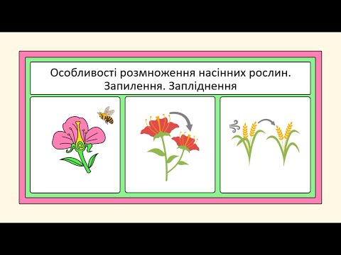 Видео: Особливості розмноження насінних рослин. Запилення. Запліднення